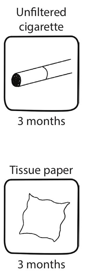 An unfiltered cigarette and a sheet of tissue paper, each three months (© Petzl)