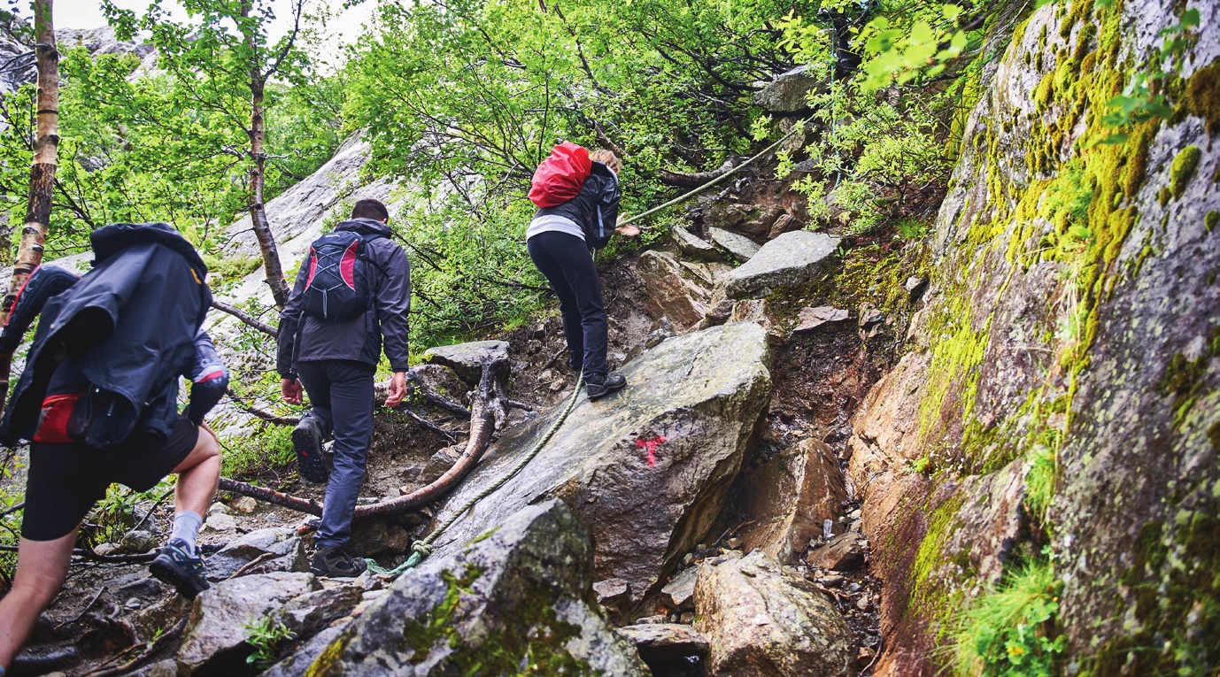 A group walking single file up a rocky approach trail through forest