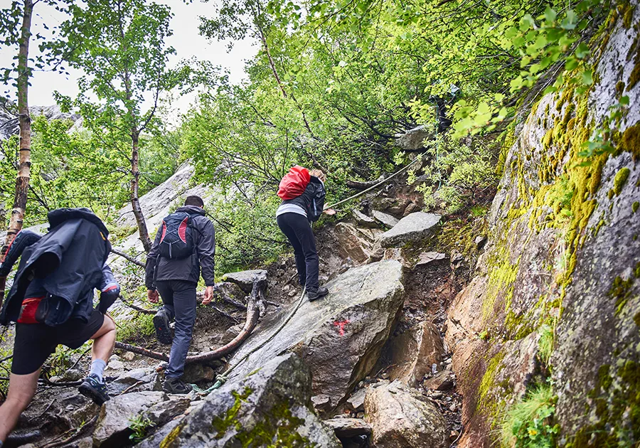 Four climbers scrambling a steep, wooded approach trail beside a mossy rock wall, using a fixed line for balance