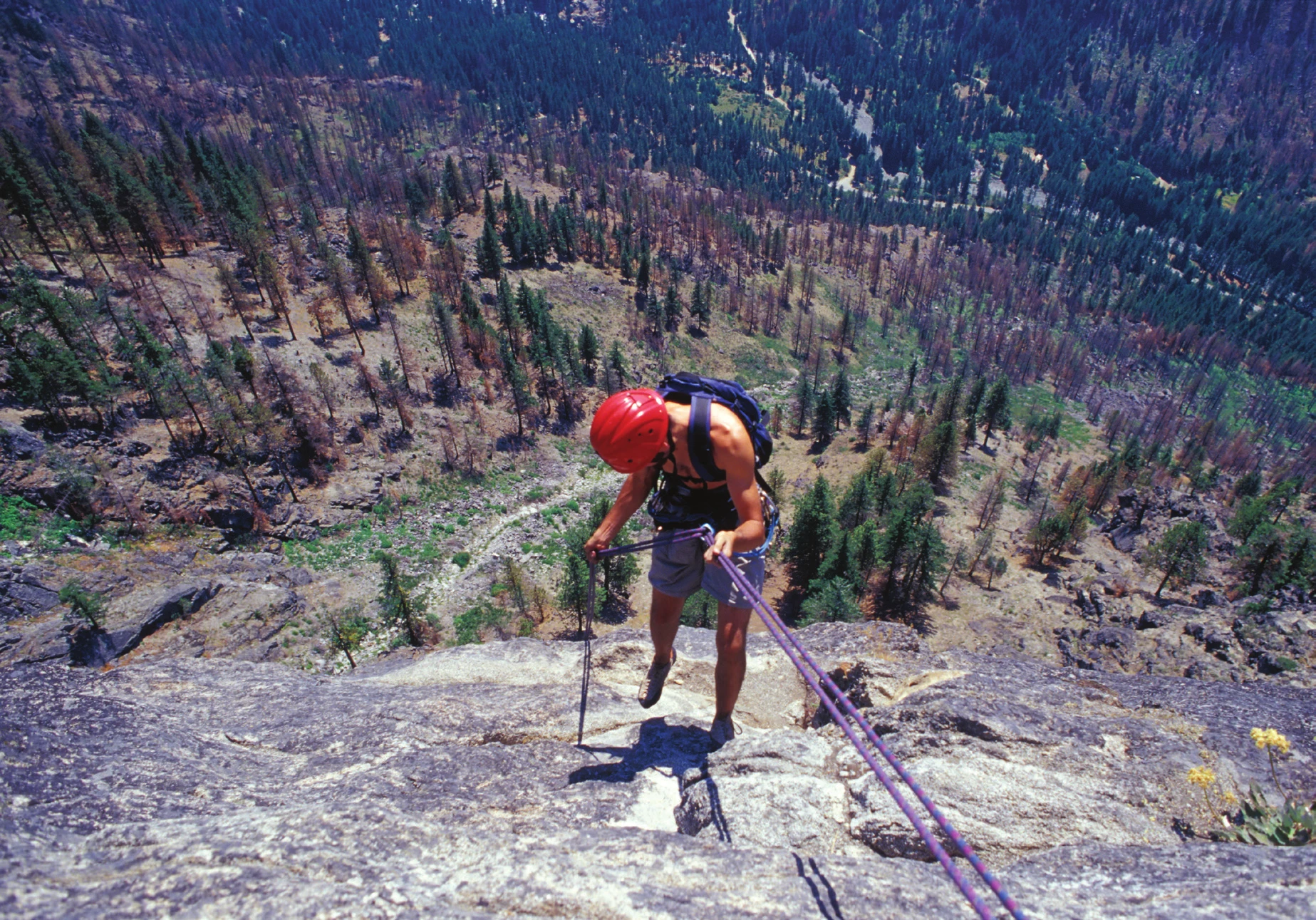 A climber at the top of a cliff rigging a top rope anchor, looking down into a forested valley