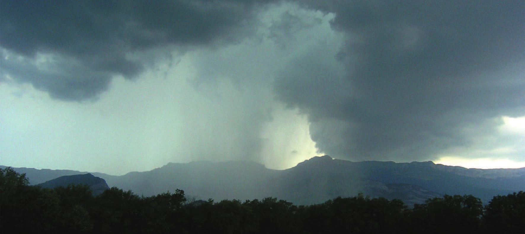 Des nuages cumulonimbus se développant au-dessus d’une crête boisée, la pluie visible sous la base des nuages