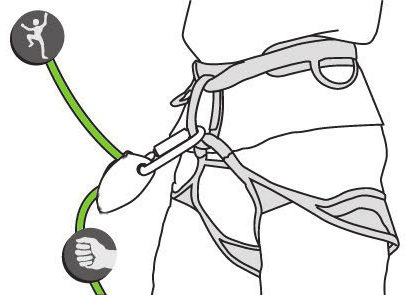 Un appareil d’assurage à freinage assisté installé sur l’anneau d’assurage du baudrier, le brin du grimpeur et le brin de freinage indiqués (© Petzl)