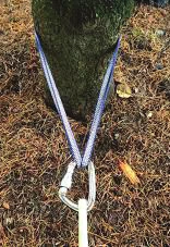 Un nœud de panier en sangle bleue autour de la base d’un arbre, réuni sur un mousqueton à vis
