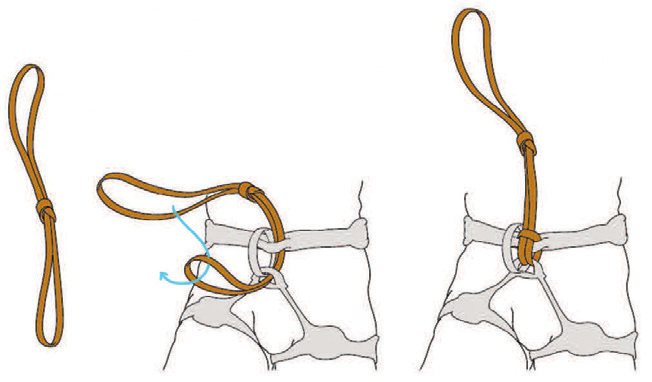Un nœud en tête d’alouette reliant une sangle aux points d’encordement du baudrier (© Petzl)